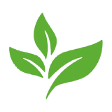 Waarom kiezen voor MatchaParadijs?